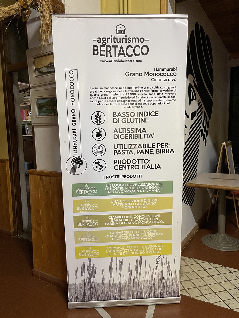 Paliano Wheat Monococco Bertacco Farm