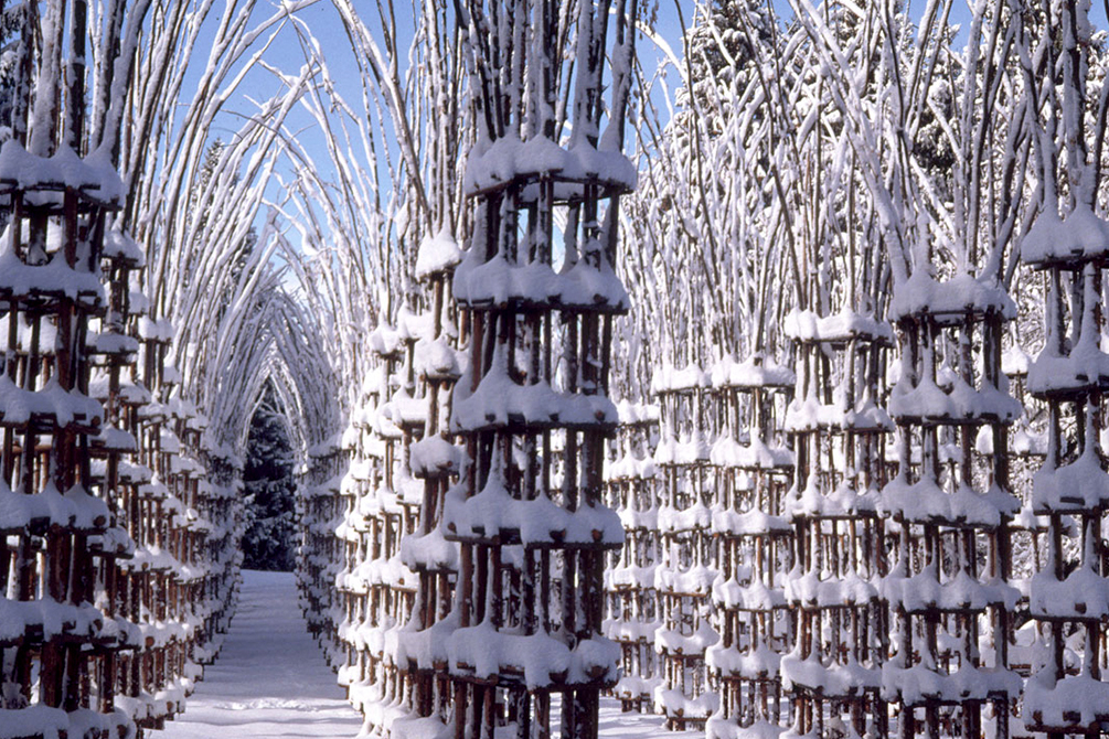 L’architettura Vegetale di Giuliano Mauri