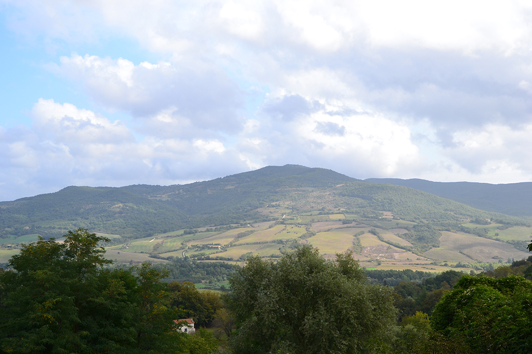 Scarpinata-a-Monte-Rufeno-1024x680.jpg