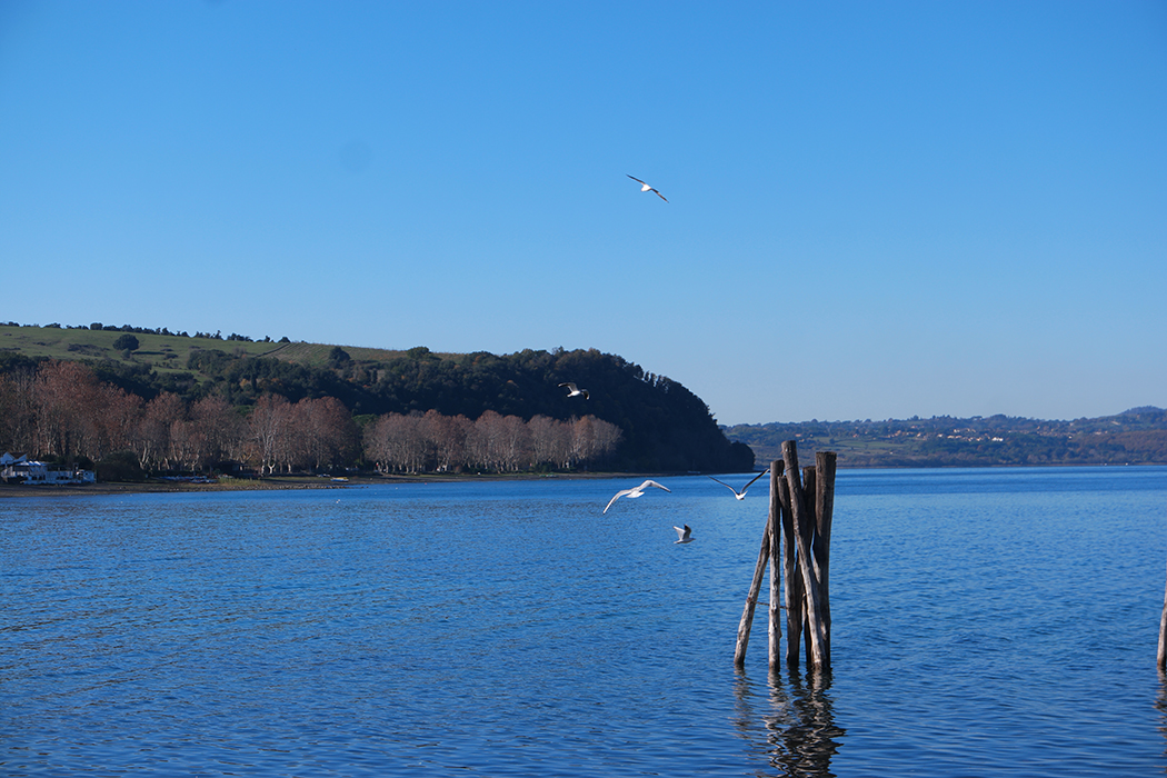 Bassano Romano. Parco Naturale Bracciano-Martignano