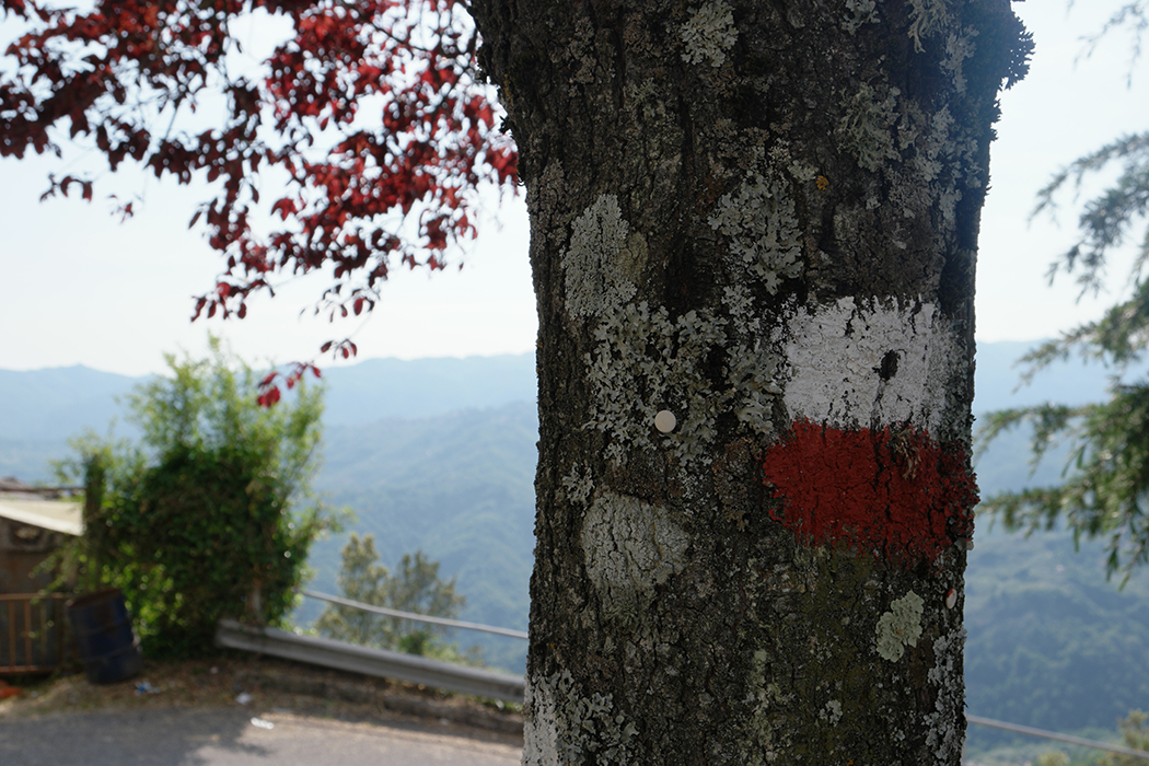 Bellegra. Sentiero San Filippo Sales