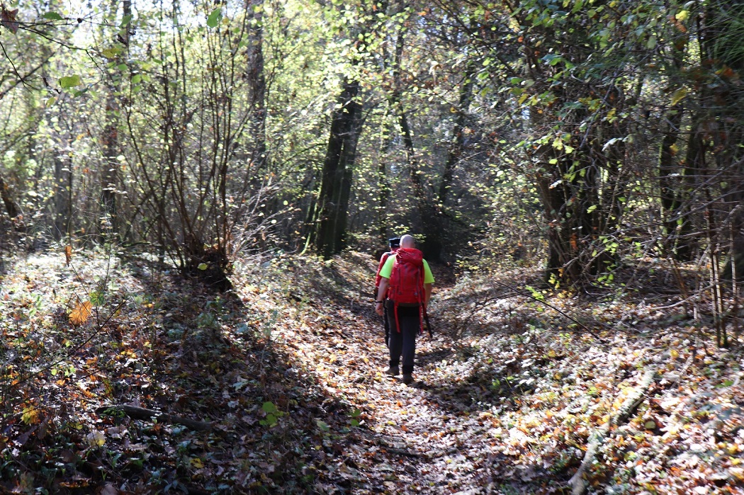 Cammino da Albalonga a Praeneste