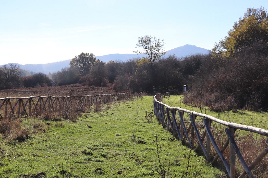 Cammino da Albalonga a Praeneste sentiero
