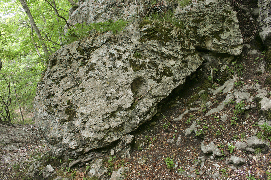 Head of Madonna in Settefrati