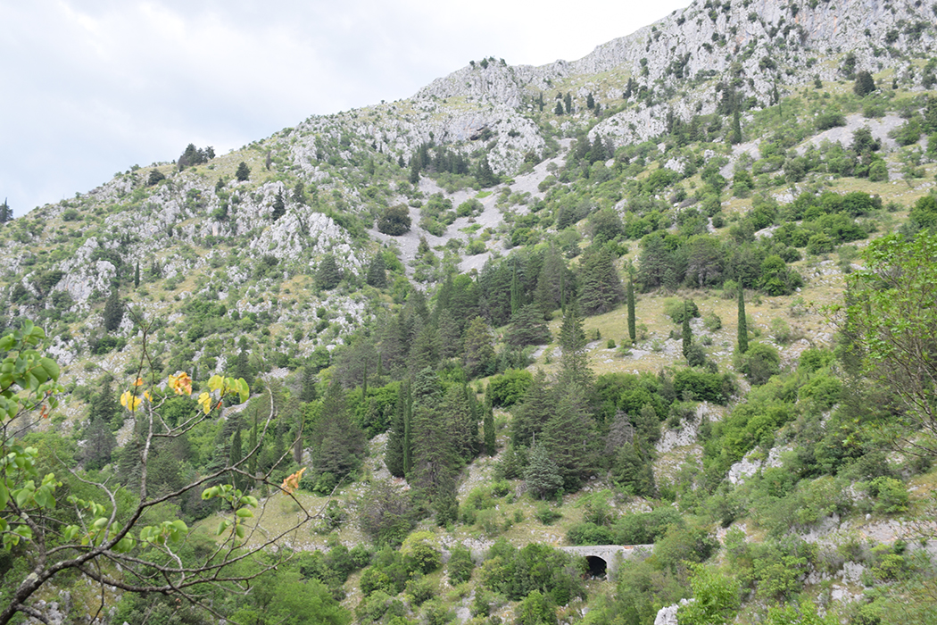 Casalvieri. Arrampicata nelle Gole del Melfa