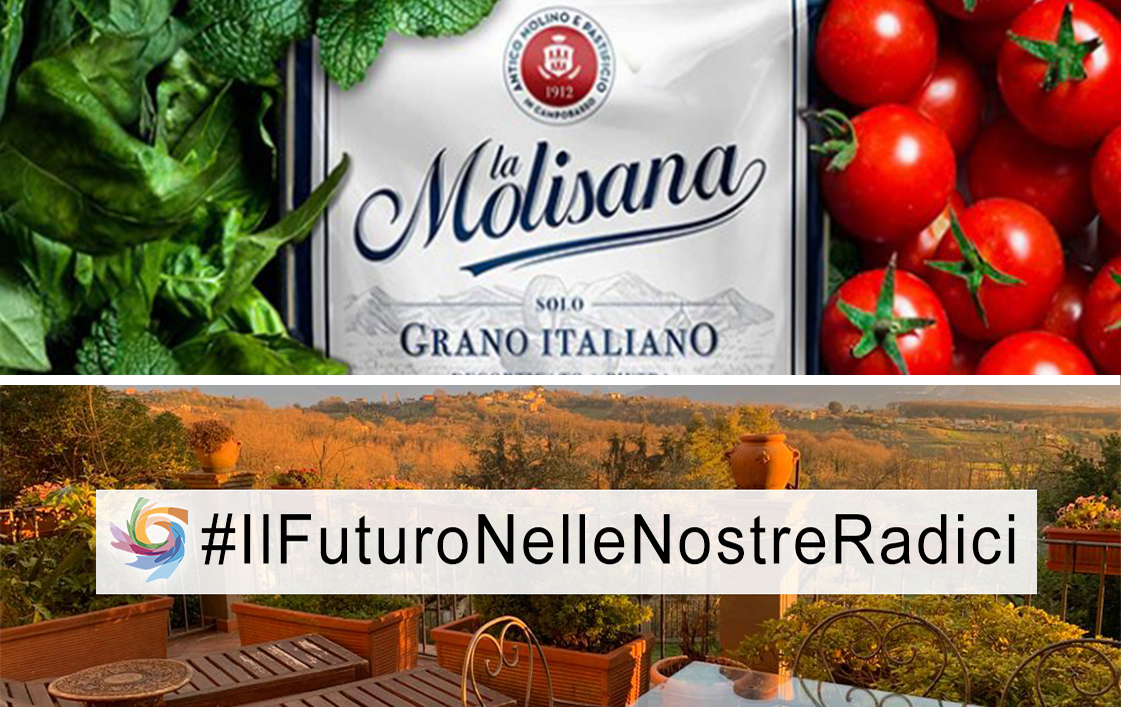 Molise twinned with Shanghai?