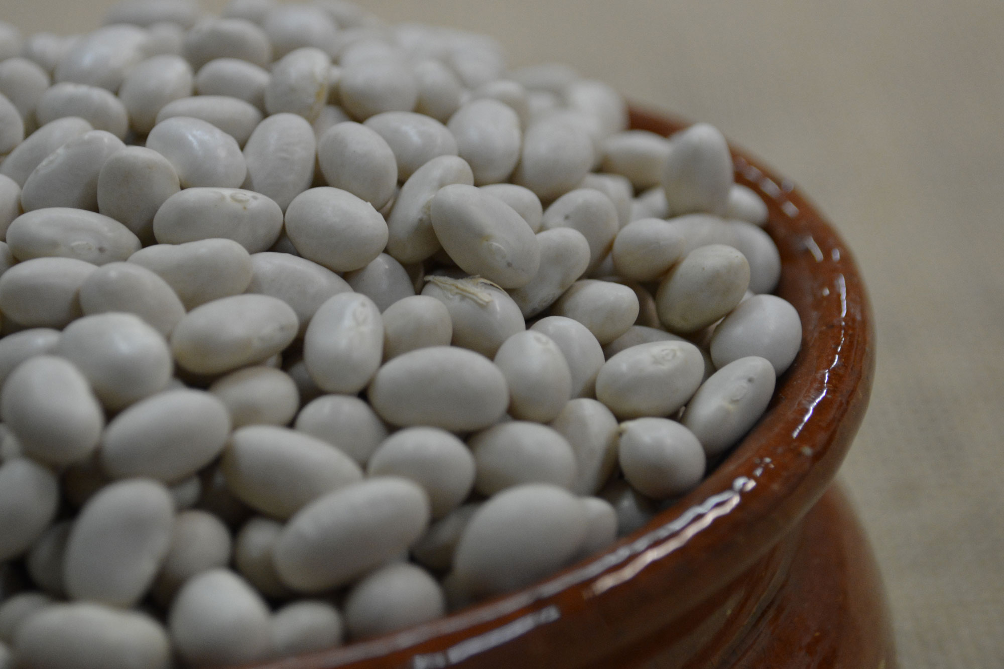 Gradoli. Fagiolo del purgatorio di Gradoli