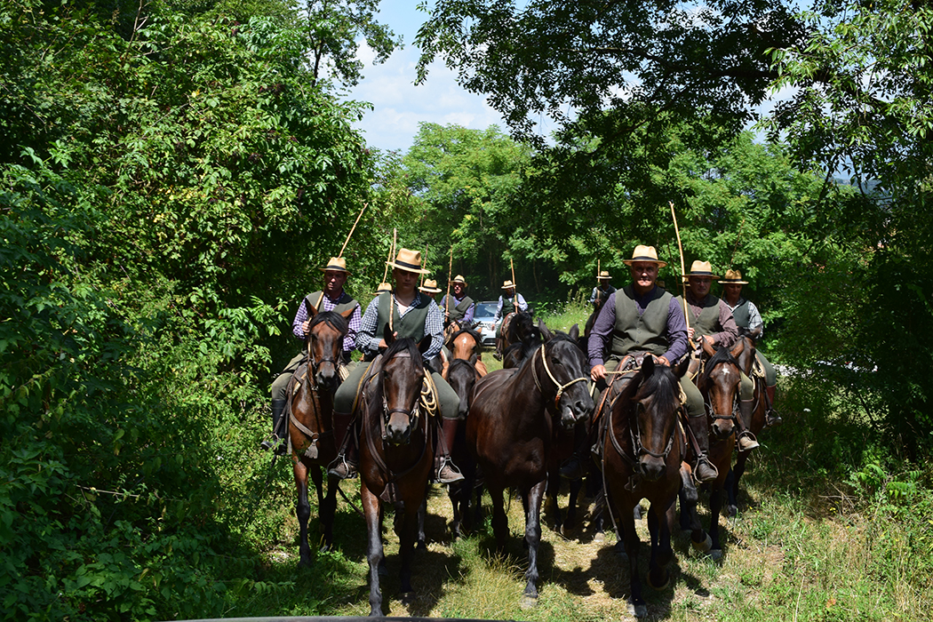 Jul 21: Butteri di Cottanello
