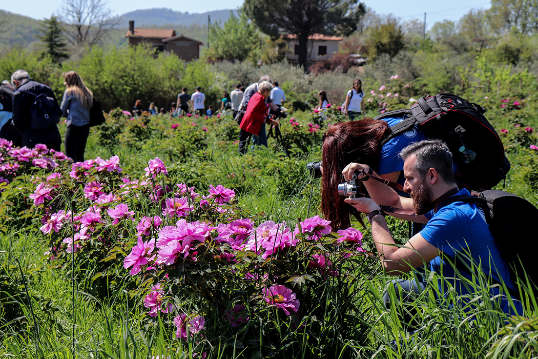 Vitorchiano - Orto Botanico Moutan