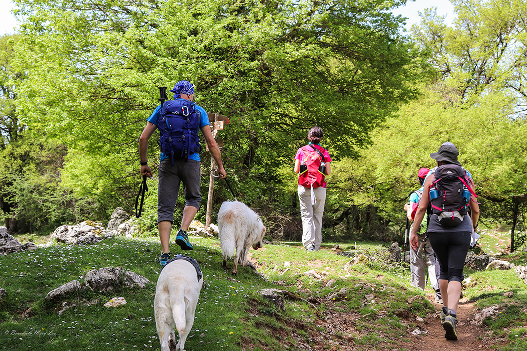 San Polo dei Cavalieri. Parco dei Monti Lucretili