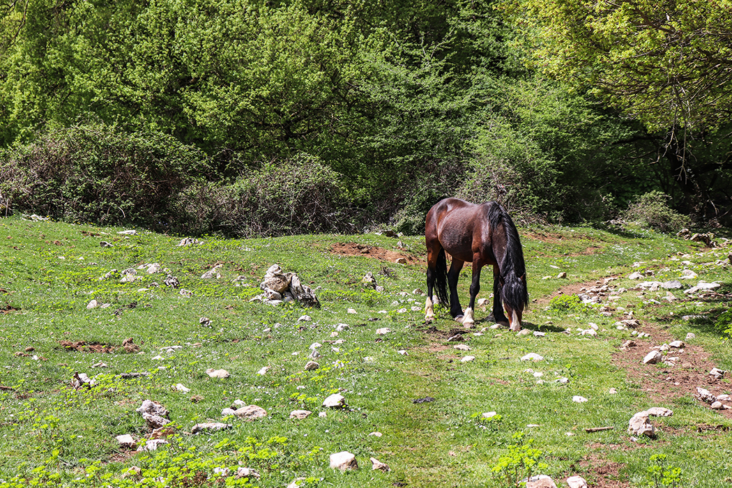 Monteflavio. Il Parco Regionale dei Monti Lucretili