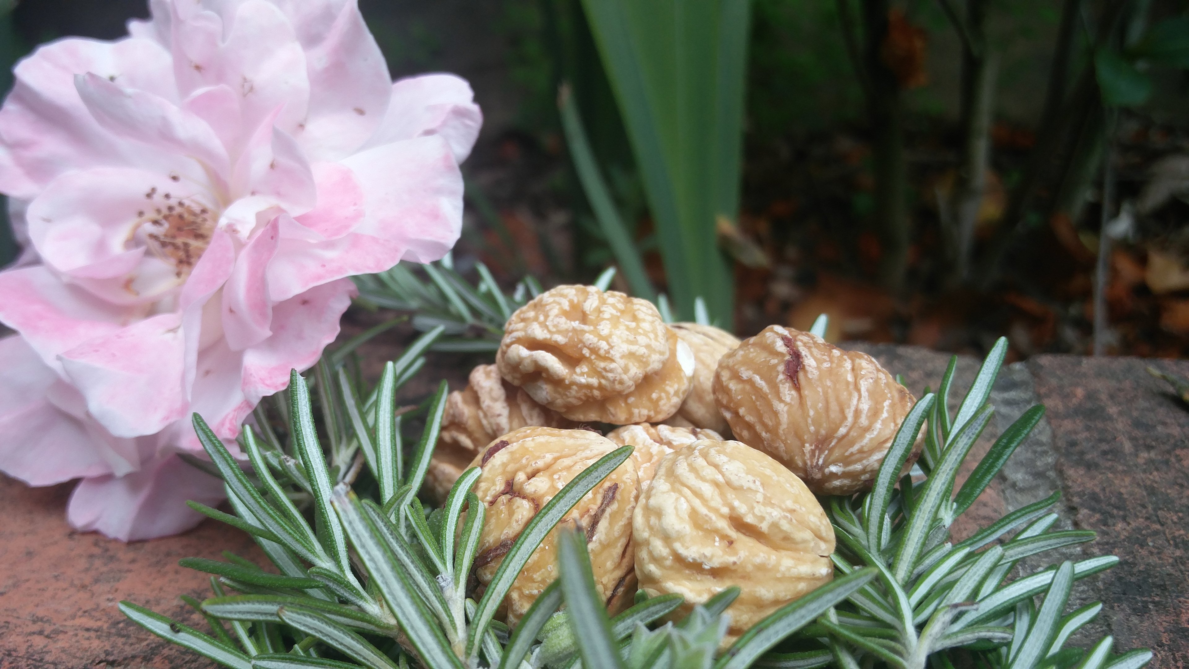 Capranica Prenestini- Sagra Mosciarelle