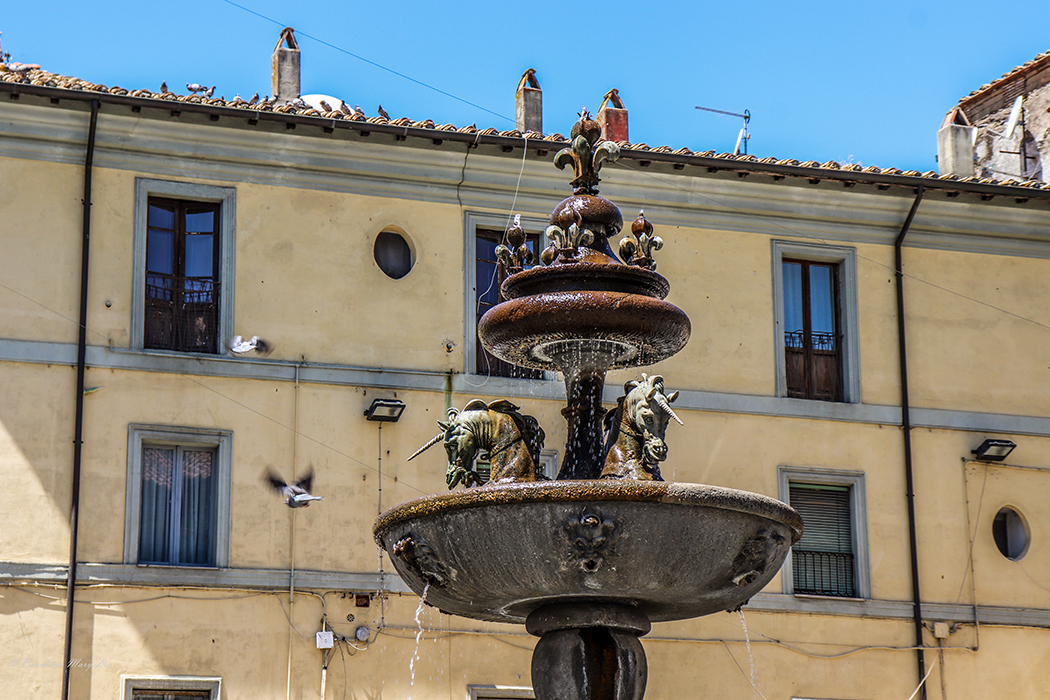 Ronciglione. Fontana dei Liocorni