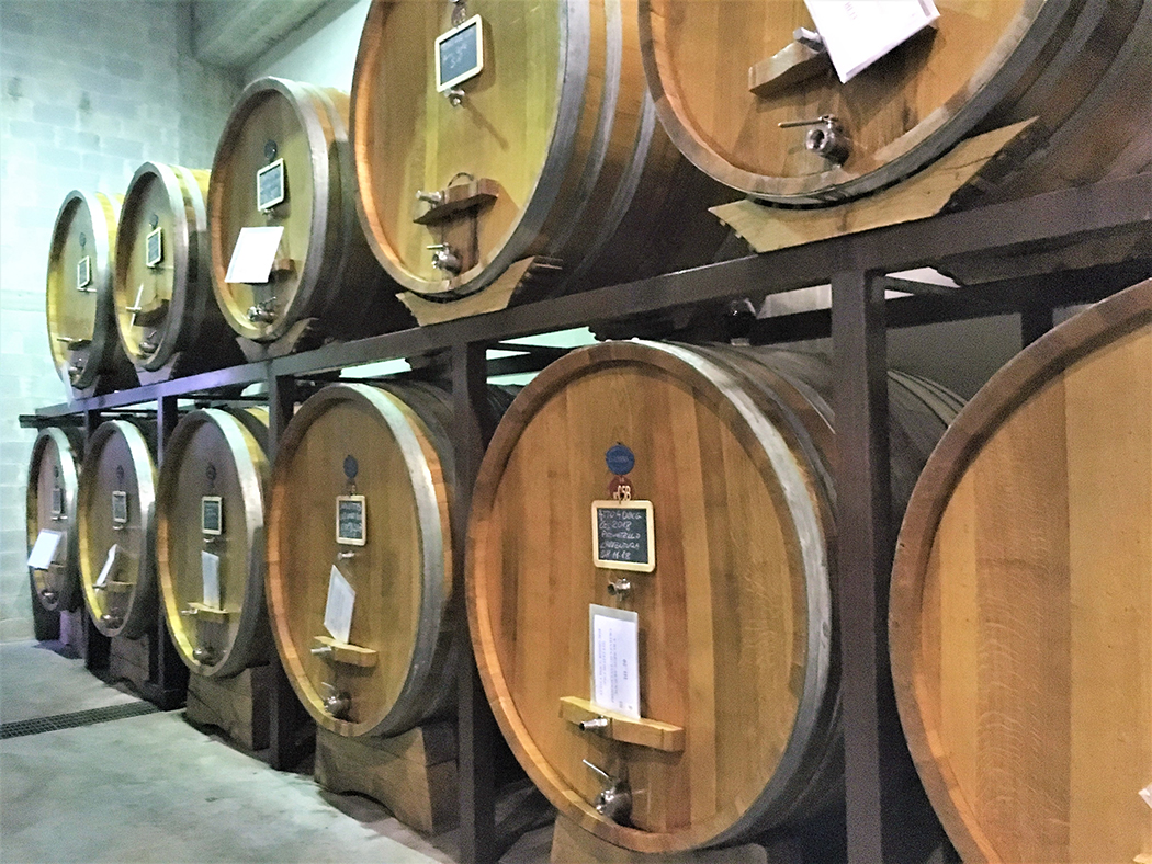 Dic 8 Cesanese Lifestyle: Arte, Vino, Cibo