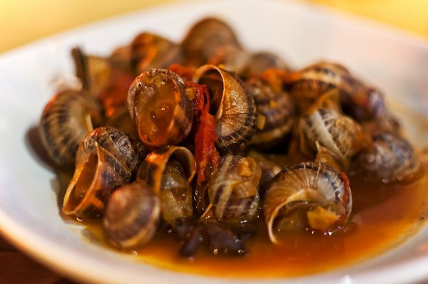 Lumache in umido: un piatto d'élite della tradizione italiana