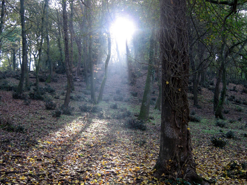 12 Marzo: con Sacrofano a Radio Radio con “Amico Comune”