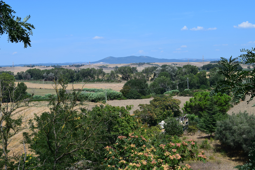 Montalto di Castro. Oasi ecologica del Wwf