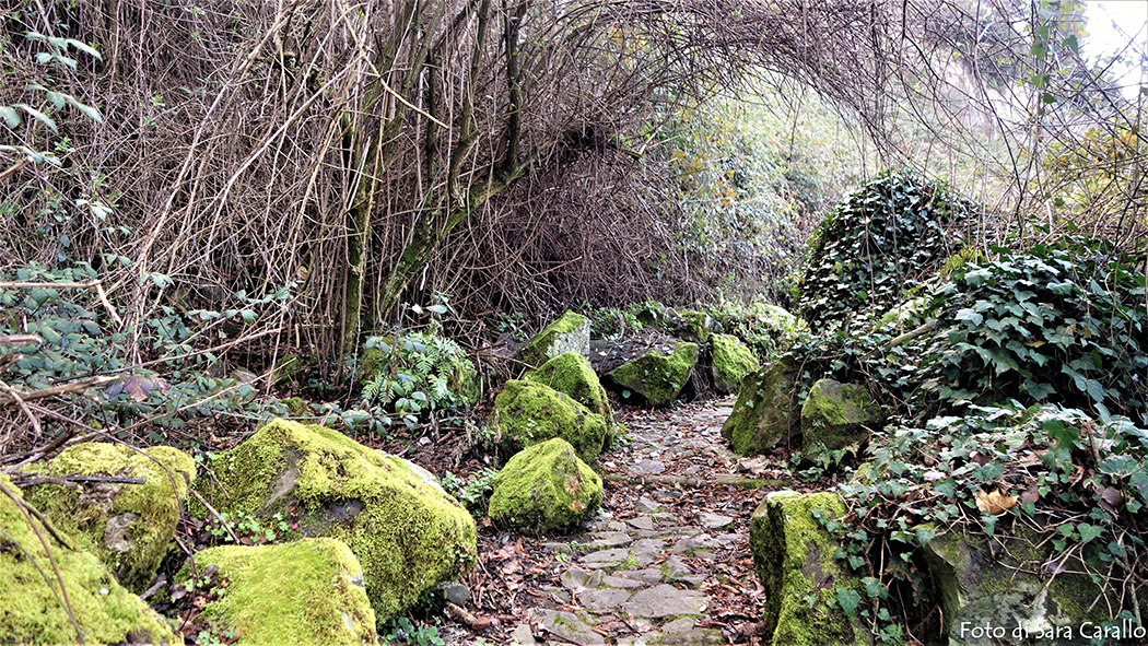 Nemi. Parco dei Castelli Romani