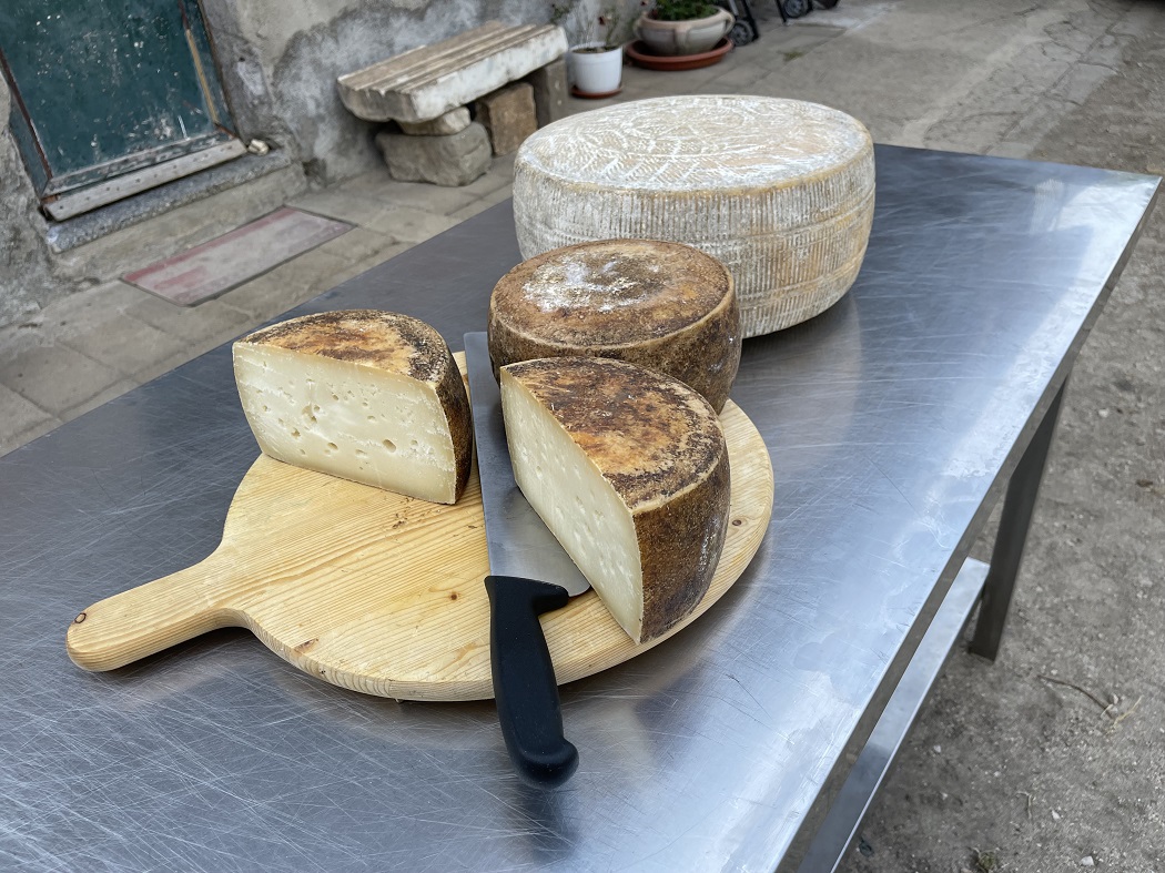Anagni, Primosale cheese by Gattu
