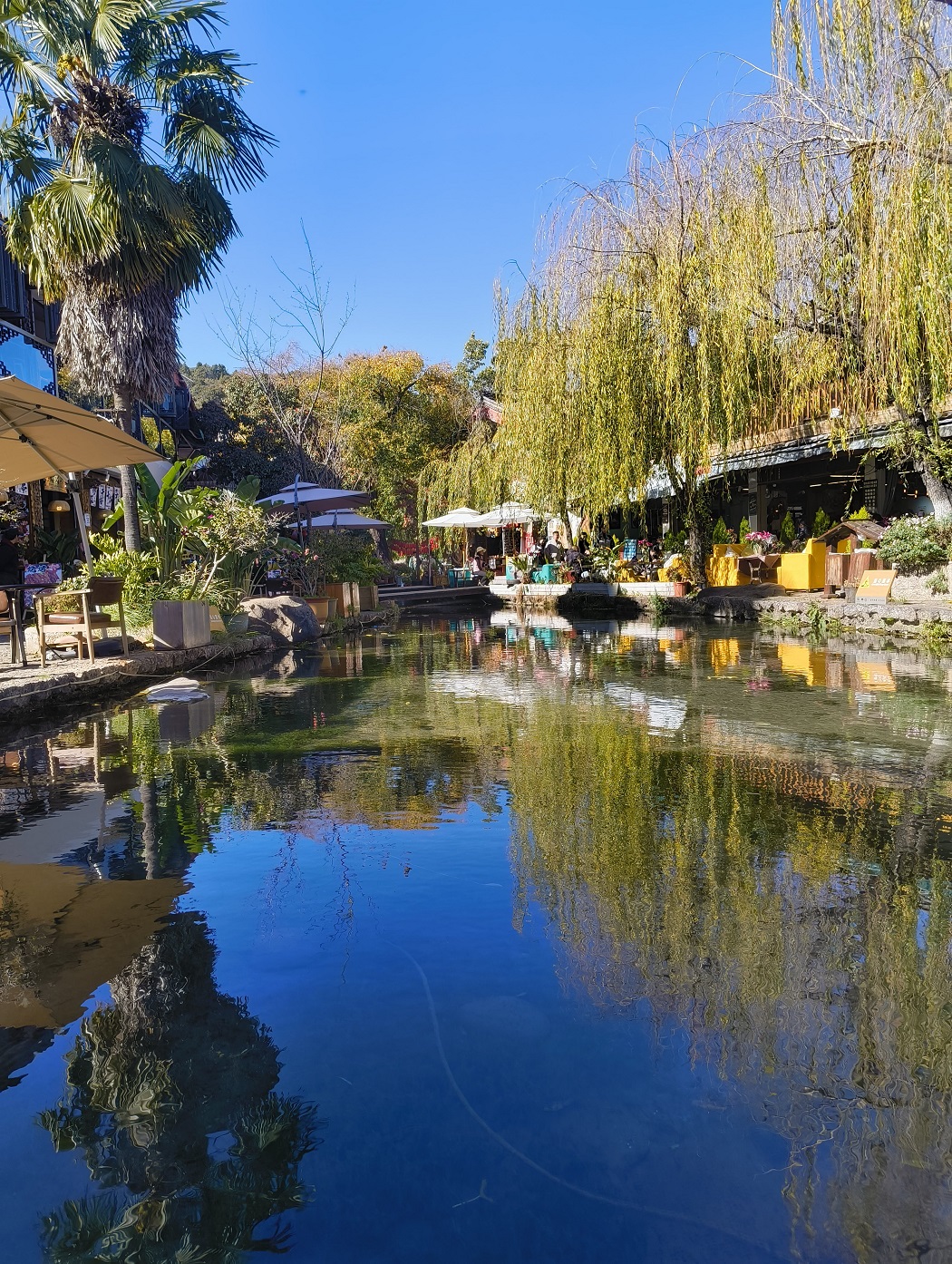 Let's discover Asia with Alessia's journey