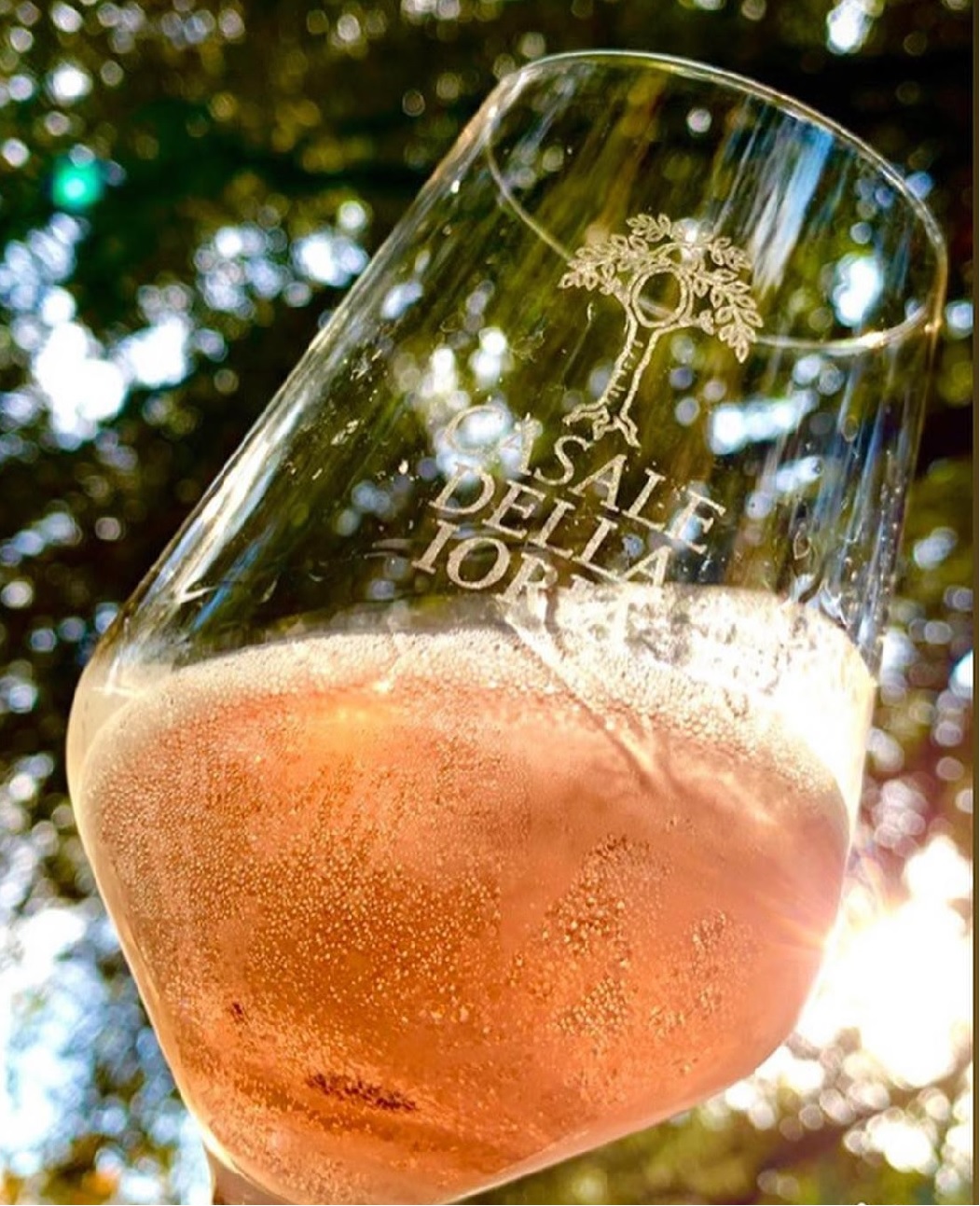 sparkling wine of Casale Della Ioria