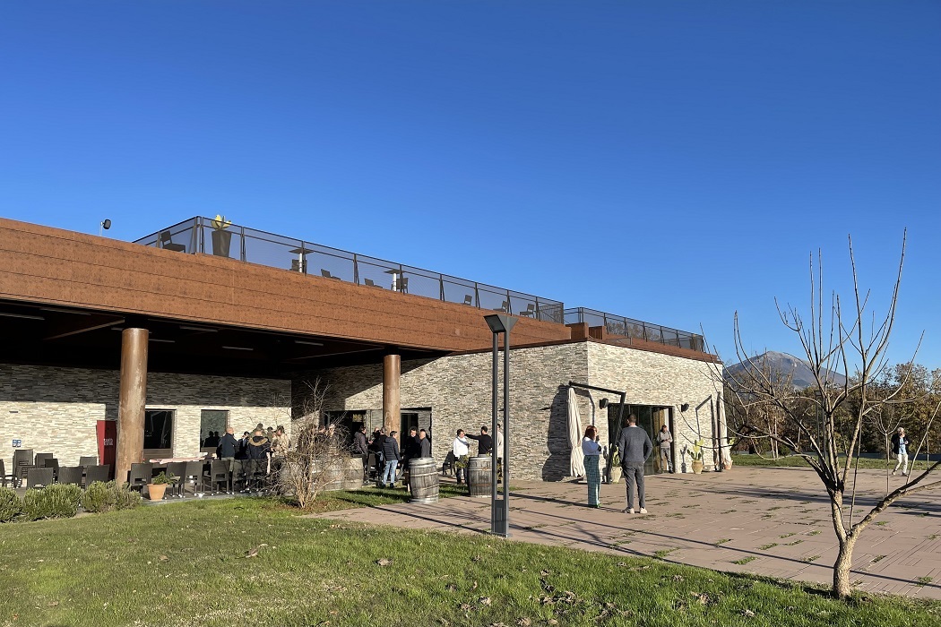 Cantina Palazzo Tronconi