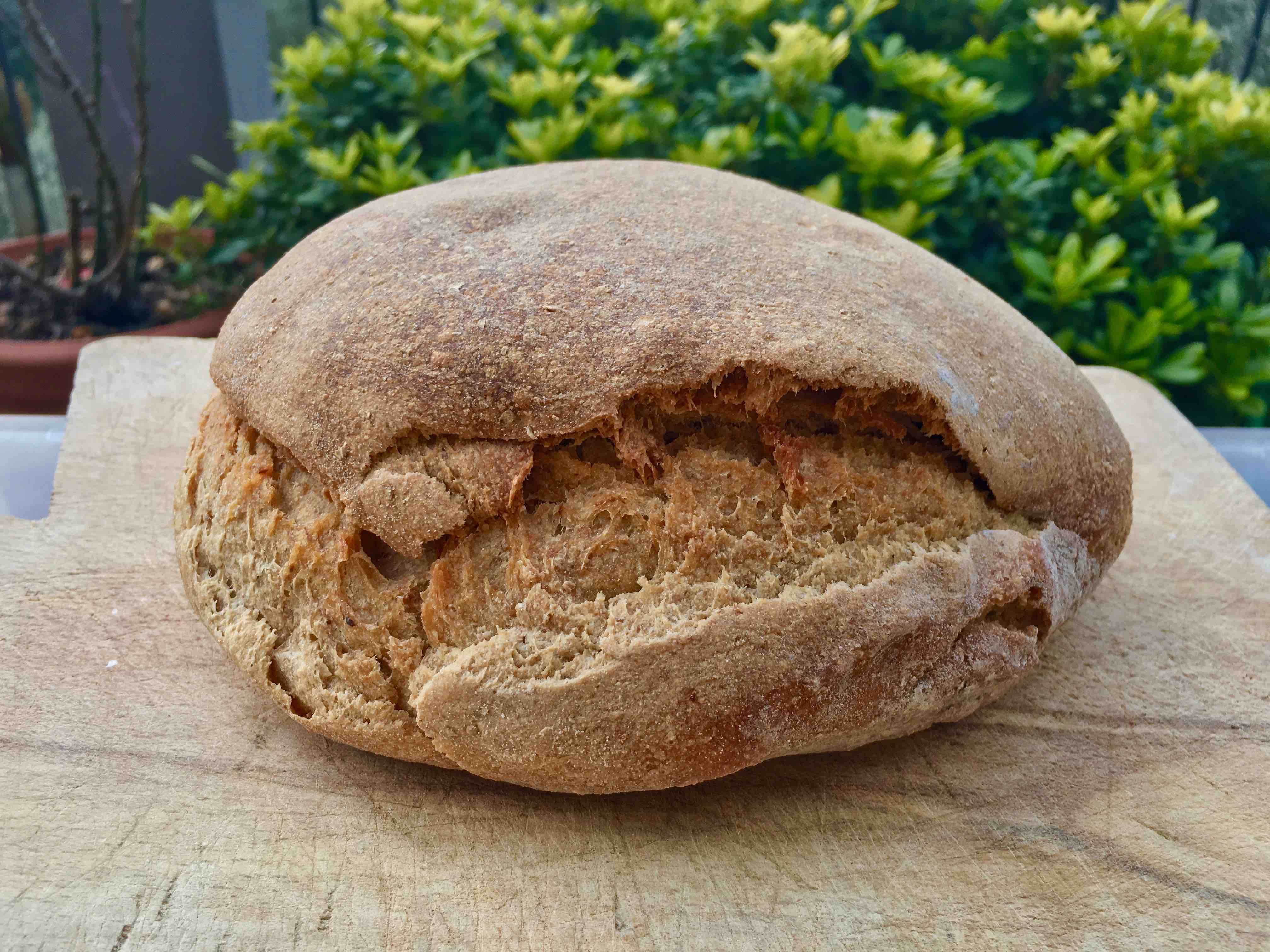 Curarsi con il cibo? A Ferentino un panificio per voi