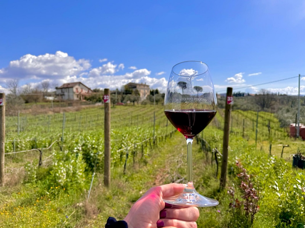 Degustazione di vini al Vecchio Poggio
