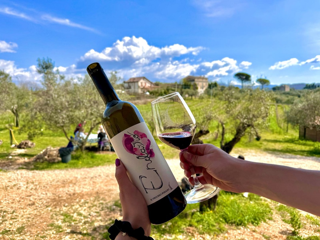 Degustazione di vini al Vecchio Poggio
