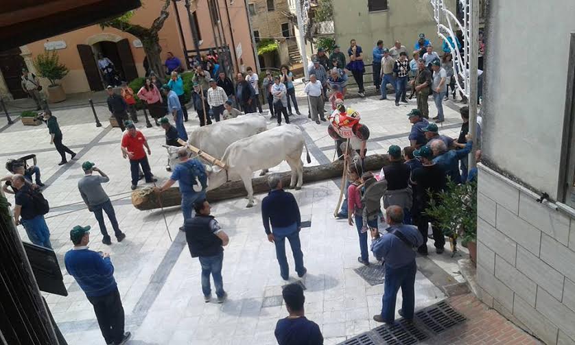 Festa del “maggio”