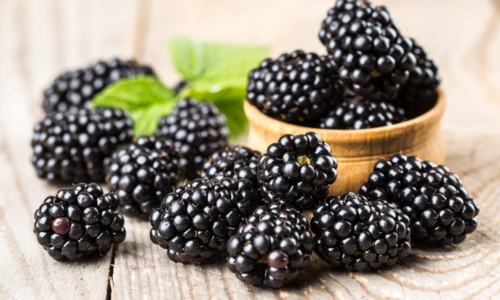 Sagra della Moricola