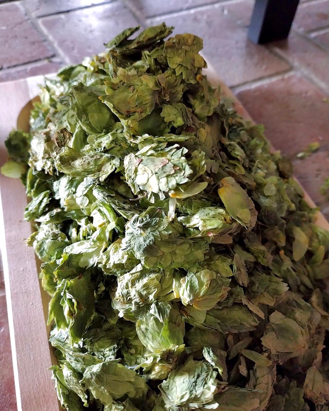 Cotta della birra da Donna Vittori