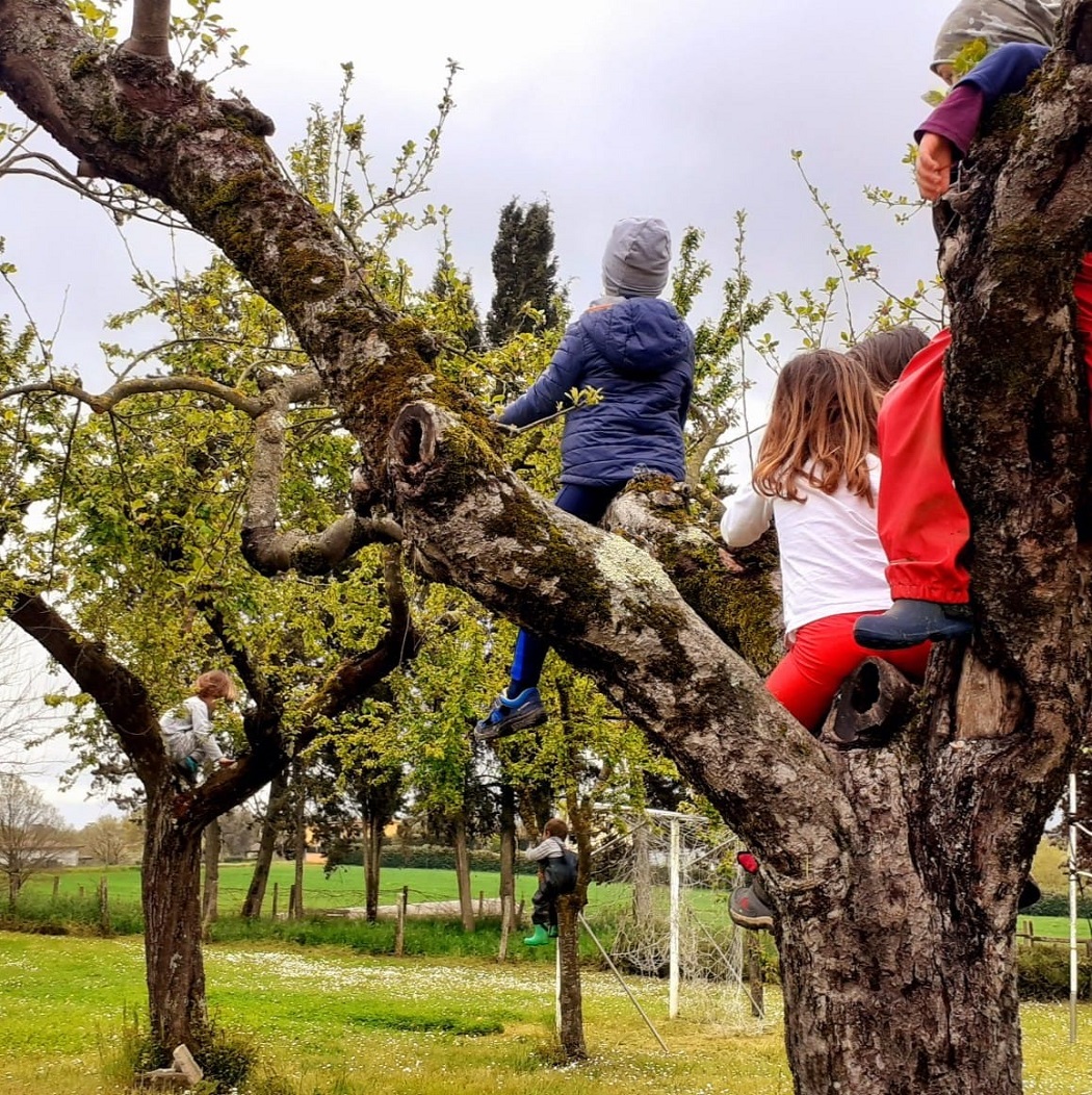 Bertacco Fattoria Didattica