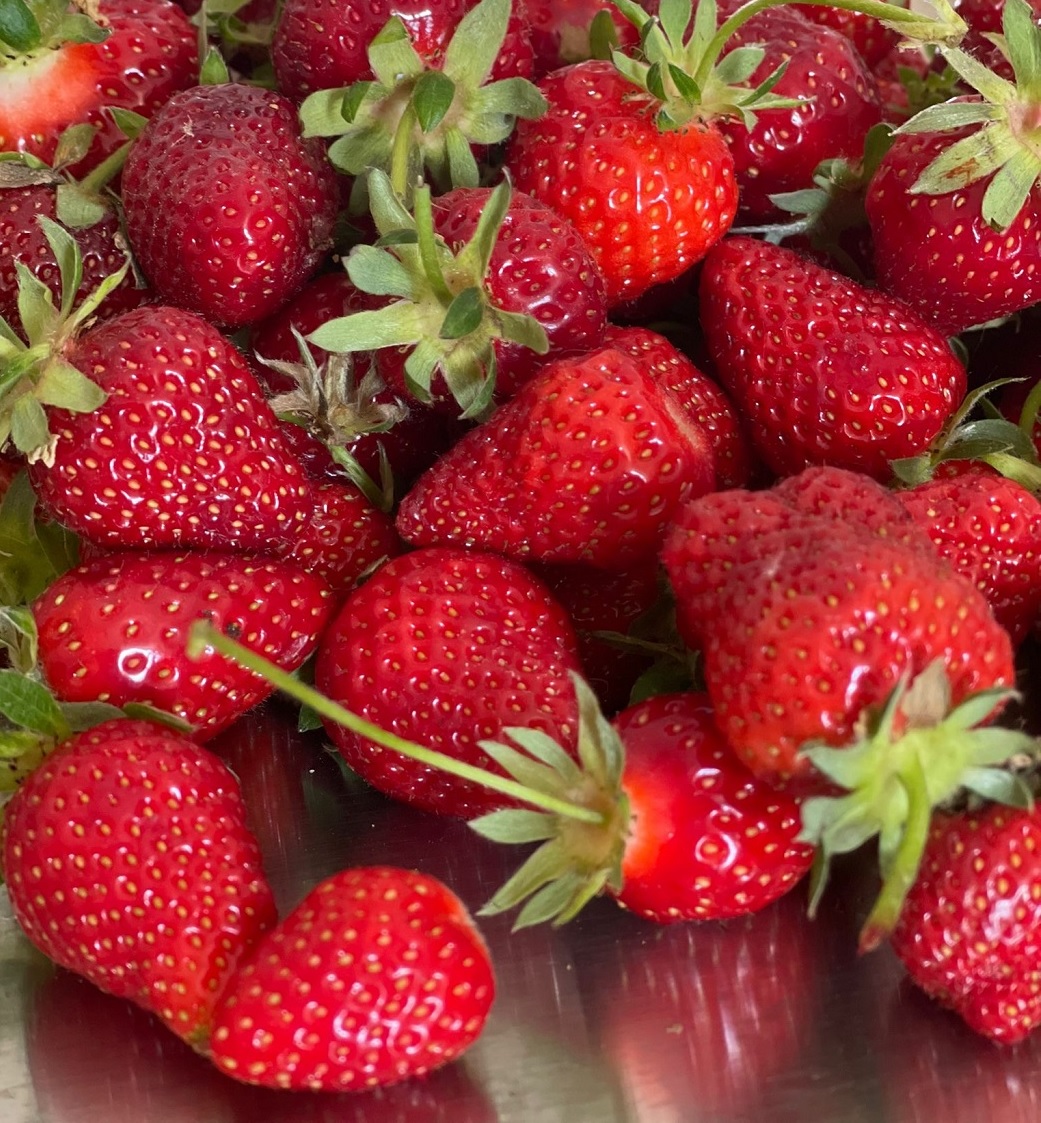 Fragole di Renata