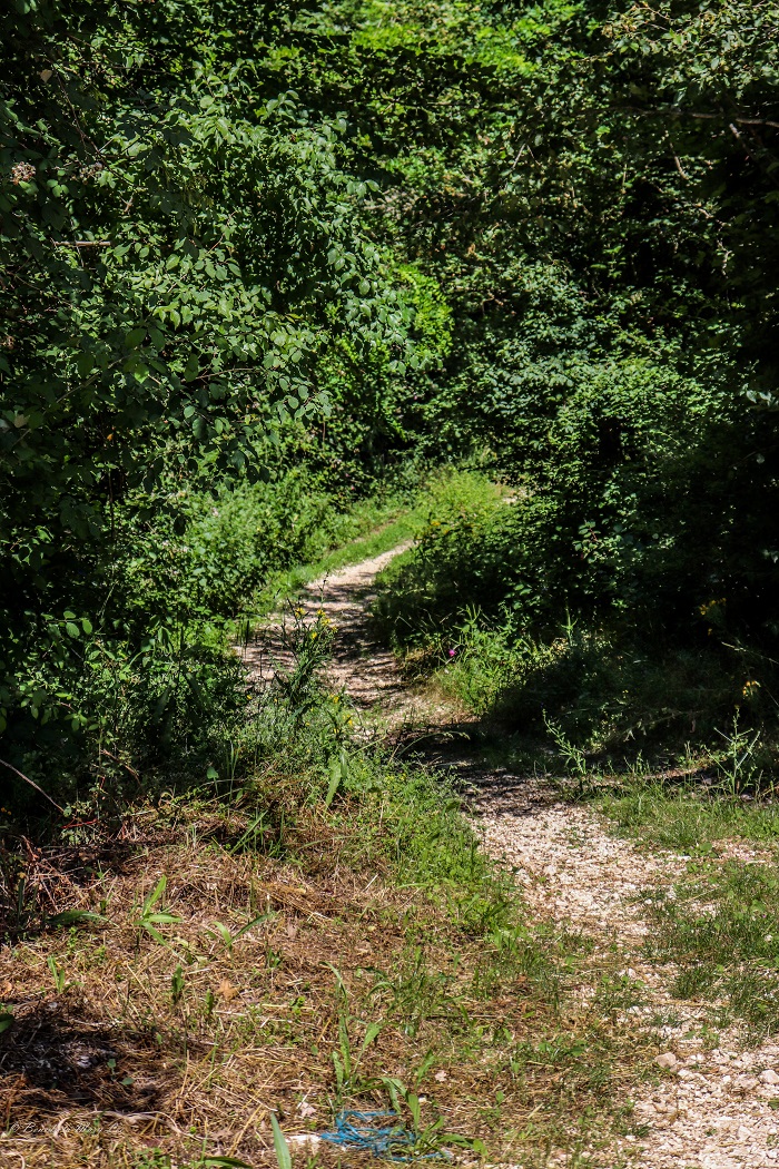 Contigliano. Cammino di San Francesco 