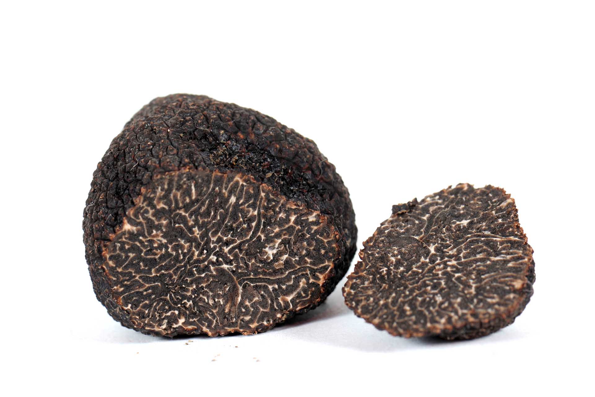 Leonessa. Il Tartufo Nero