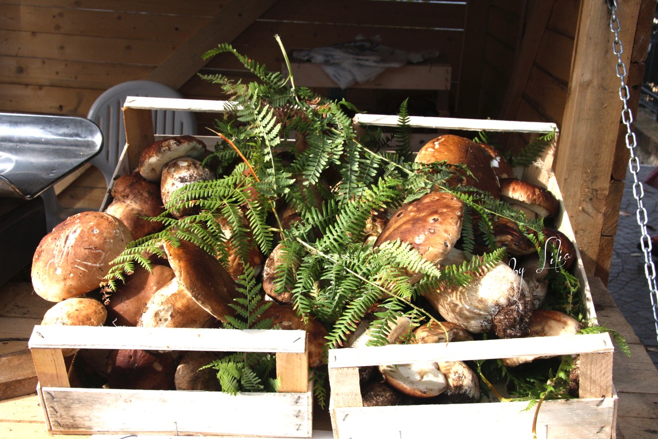 Bellegra festa tacchie e funghi porcini