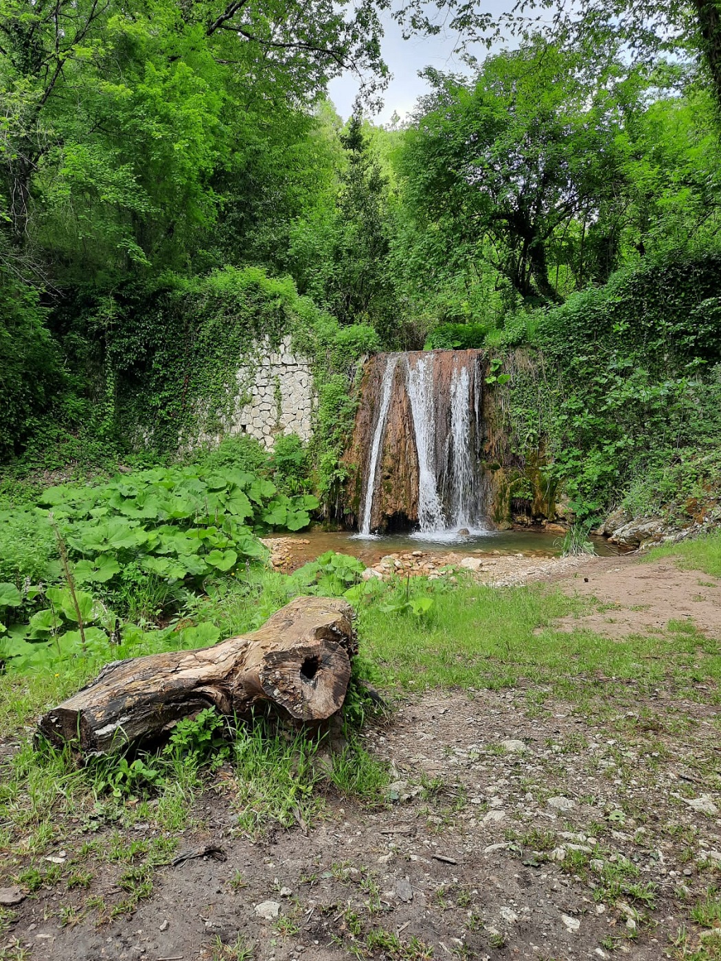 Trekking, sentiero Coleman