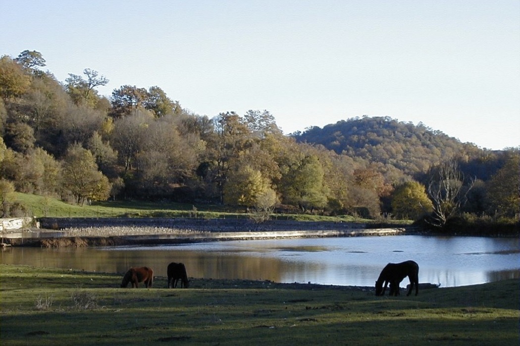 Castello di Collemezzo