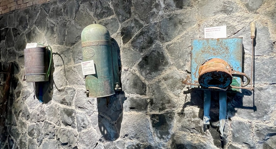 Museo del Vino 