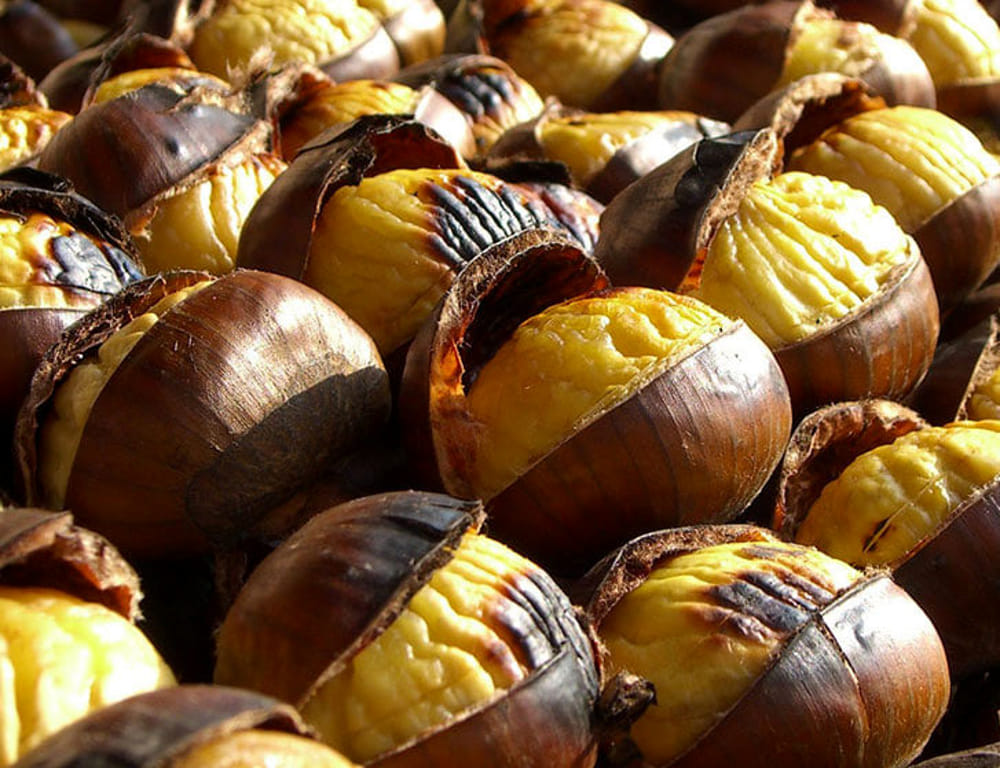 Castagne