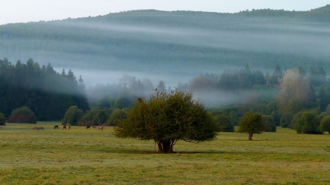 Rocca Priora, Acqua Regilla