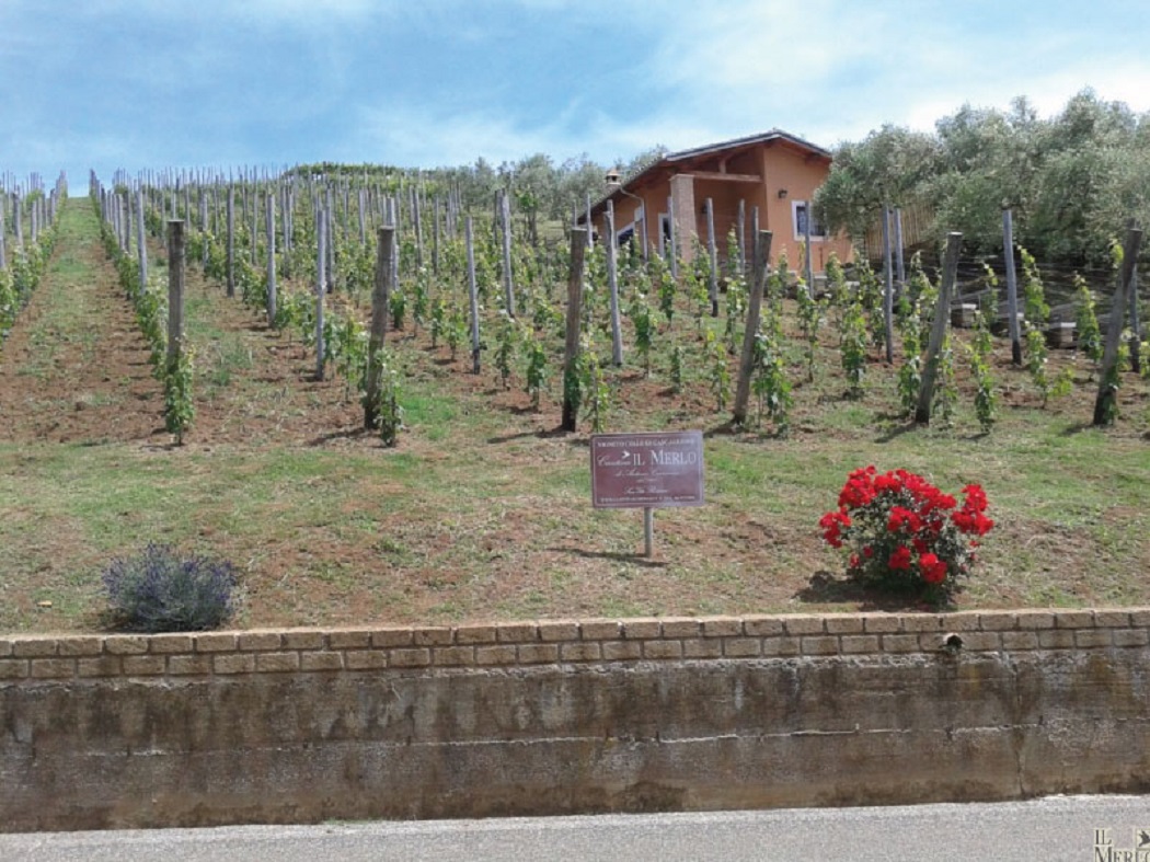 Il Merlo Winery  Cascaglione, Lazio IGT Red Wine