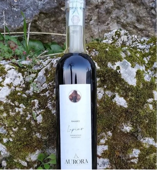 amaro Lepino, Segni of Aurora