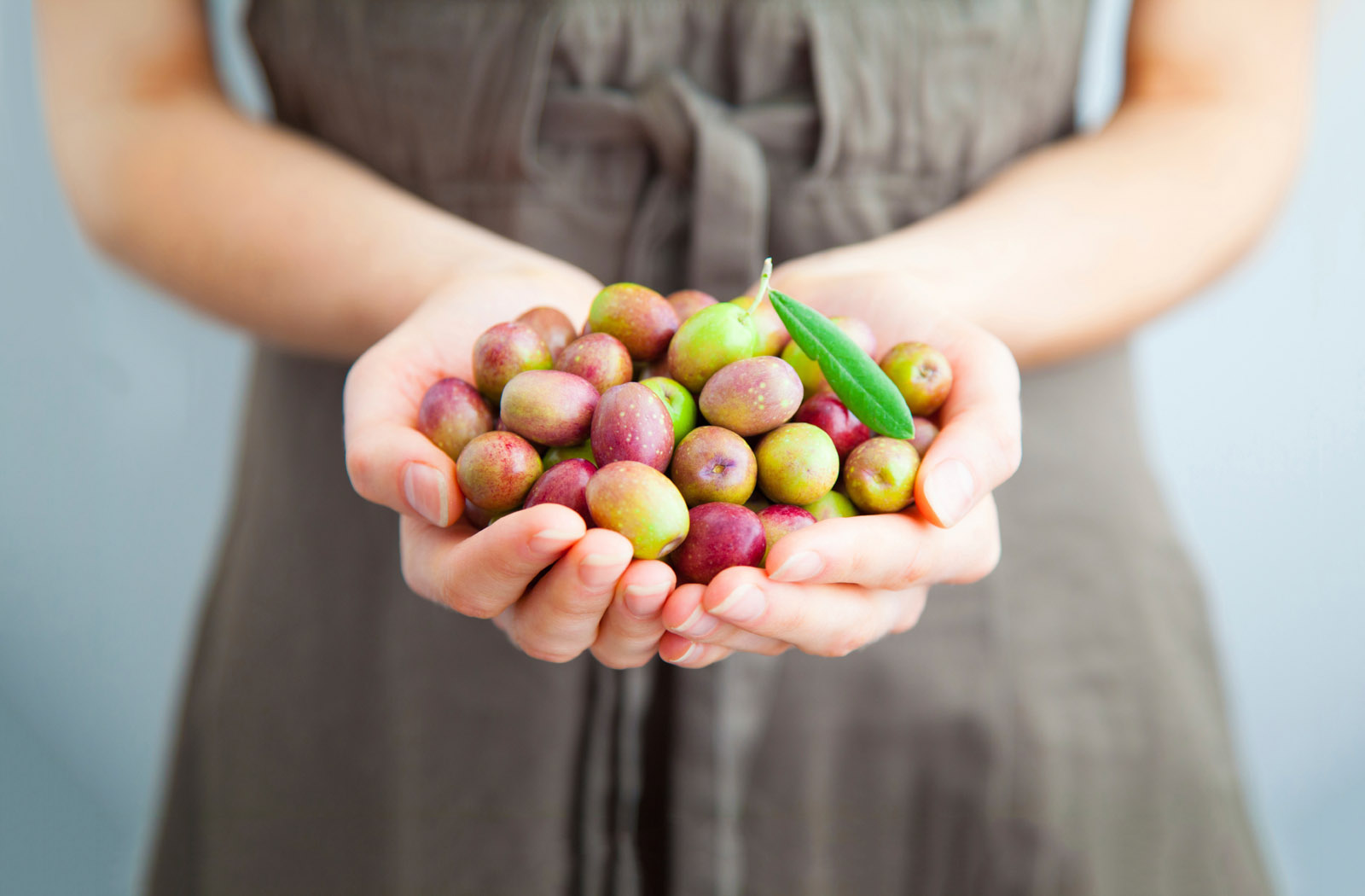 Barbarano Romano. Olio di Oliva Tuscia DOP