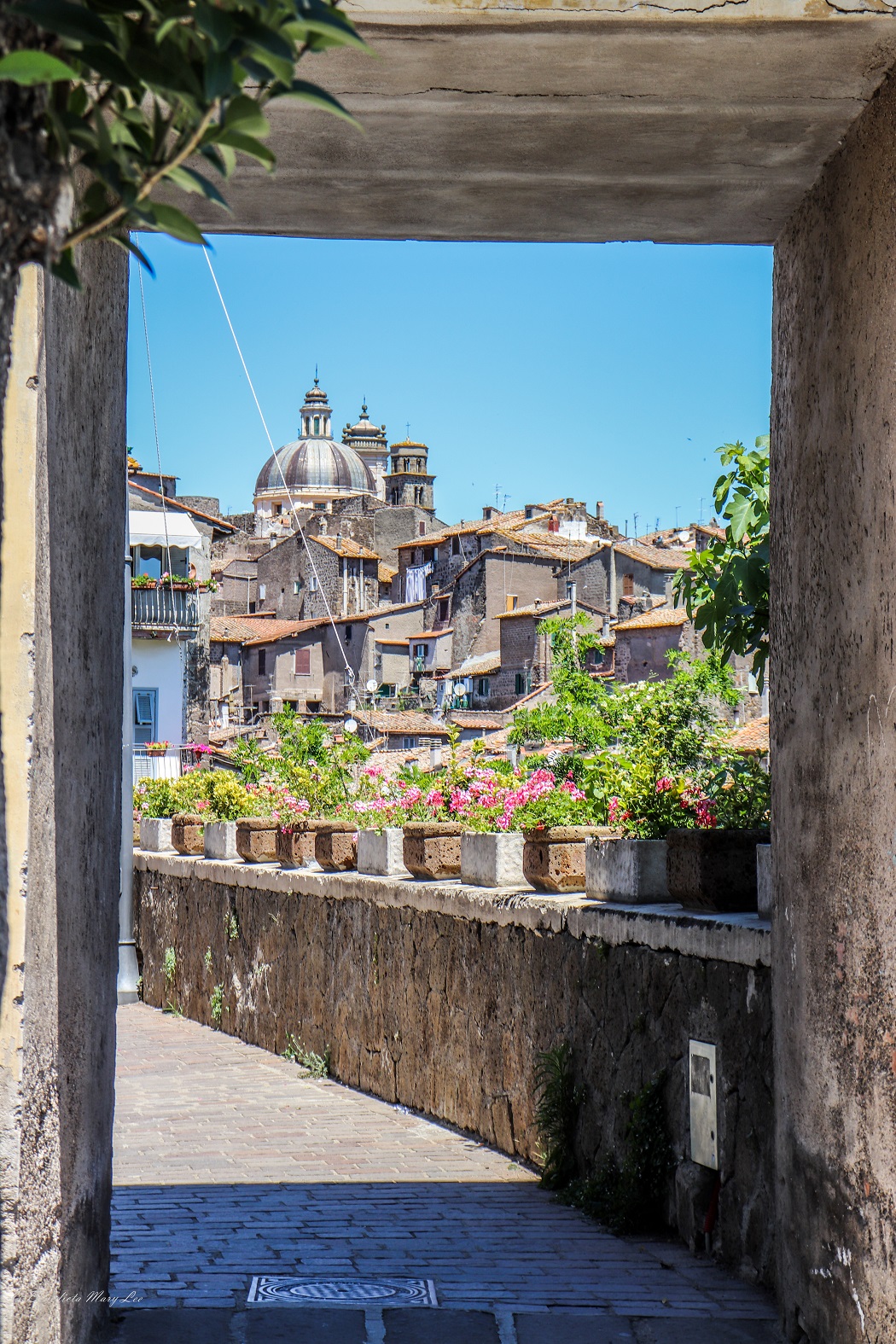 Winner Ronciglione 2023!