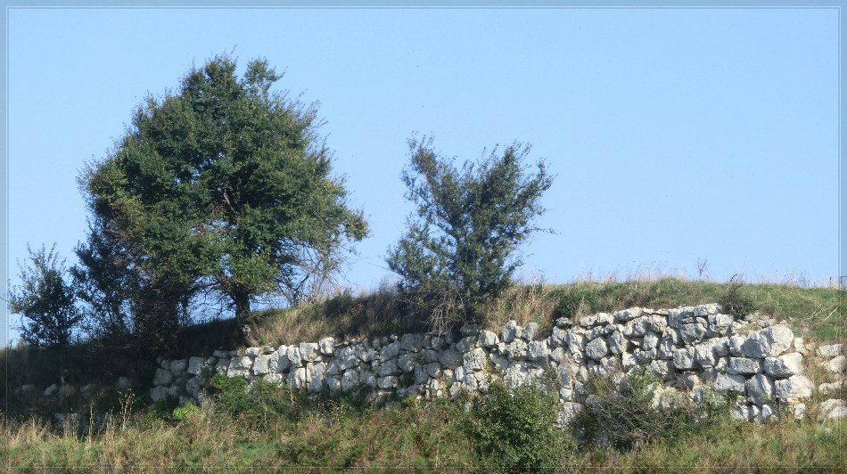 Artena. Pian della Civita Mura Poligonali