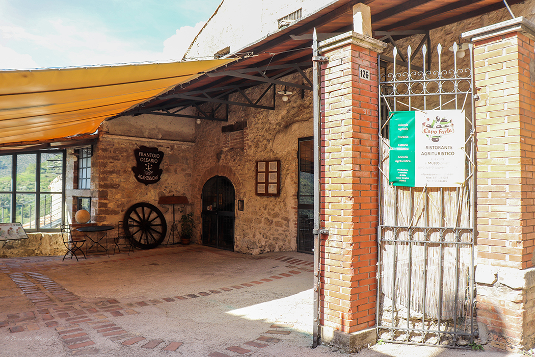 Poggio San Lorenzo. Museo dell’olio Capo Farfa
