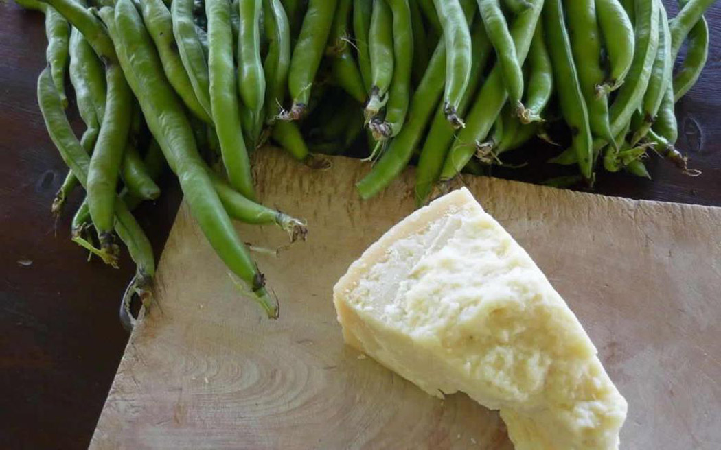 Le Fave: ricette e curiosità del legume più amato in Italia
