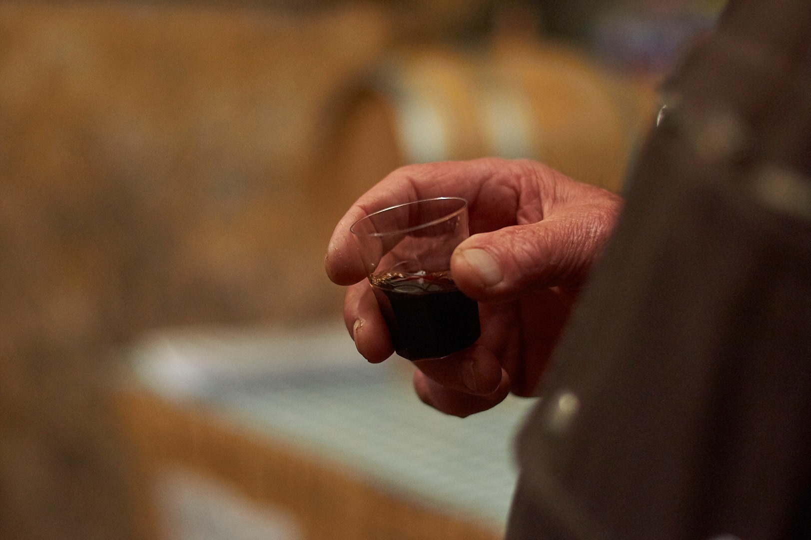 Gallese. Giornate dell’Olio e del Vino